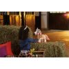 Інтерактивна іграшка Hasbro FurReal Friends Поні Сінамон серія (F4395) - Зображення 6