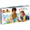 Конструктор LEGO DUPLO Ігровий майданчик 75 деталей (10991) - Зображення 5