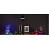 Гірлянда Twinkly Smart LED Strings RGBW 250, BT+WiFi, Gen II, IP44, кабель ч (TWS250SPP-BEU) - Зображення 10