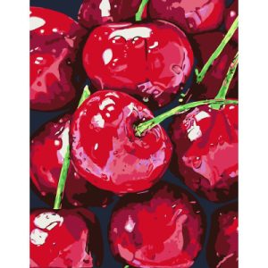 Картина по номерам Rosa Start Натюрморт. Вишні, 35 х 45 см (4823098531470)