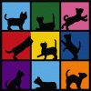 Картина по номерам Rosa Star Cats 15 х 15 см, з мольбертом (4823098540595)