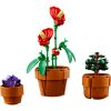 Конструктор LEGO Icons Мініатюрні рослини 758 деталей (10329) - Зображення 4