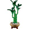 Конструктор LEGO Botanicals Бамбук щастя (10344) - Зображення 4