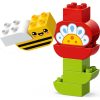 Конструктор LEGO DUPLO Town Творчий сад і квіти (10444-) - Зображення 3