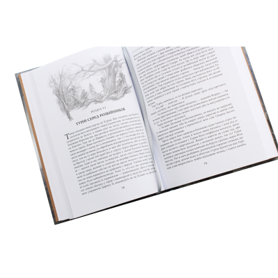 U0782644_5big Книга Сказання про дітей Гуріна - Джон Р. Р. Толкін Астролябія (9786176641957)