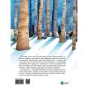 Книга Таємниця різдвяного подарунка - Анна Лотт Vivat (9789669825179)