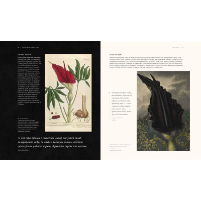 Книга Гаррі Поттер. Історія магії. Велике ілюстроване видання - Джоан Ролінґ А-ба-ба-га-ла-ма-га (9786175851685)