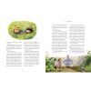 Книга Тореадори з Васюківки. Велике ілюстроване видання. Книга перша - Всеволод Нестайко А-ба-ба-га-ла-ма-га (9786175852484)