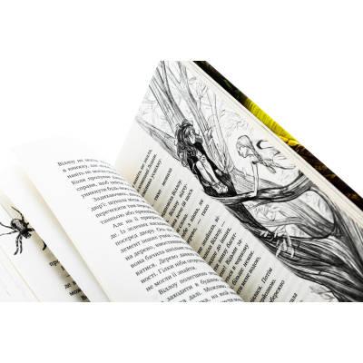 Книга Дівчинка на ім'я Віллоу - Забіне Больман КСД (9786175482544)