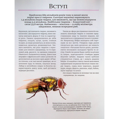 Книга Велика книга тварин - Клаудія Мартін Vivat (9786171704794)