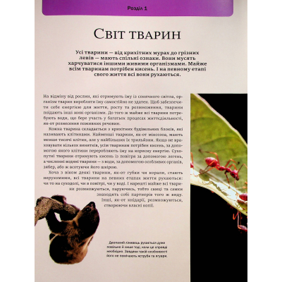 Книга Велика книга тварин - Клаудія Мартін Vivat (9786171704794)