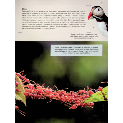 Книга Велика книга тварин - Клаудія Мартін Vivat (9786171704794)