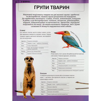 Книга Велика книга тварин - Клаудія Мартін Vivat (9786171704794)