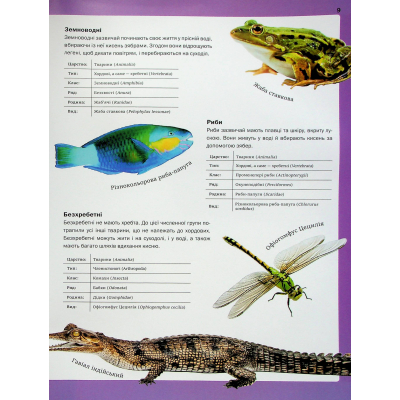 Книга Велика книга тварин - Клаудія Мартін Vivat (9786171704794)