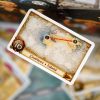 Настільна гра Lord of Boards Квиток на поїзд: Рейки та вітрила (Ticket to Ride: Rails & Sails) українська (LOB2333UA)