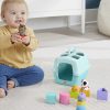 Розвиваюча іграшка Fisher-Price Сортер Переноска з тваринками (HTW93)
