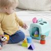 Розвиваюча іграшка Fisher-Price Сортер Переноска з тваринками (HTW93)