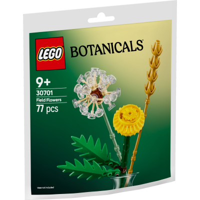 U1040614_big Конструктор LEGO Botanicals Польові квіти (30701)