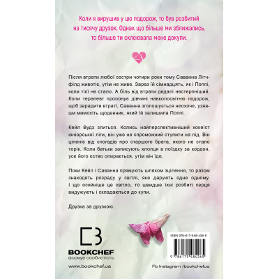 U1058709_3big Книга Тисяча друзок - Тіллі Коул BookChef (9786175484265)