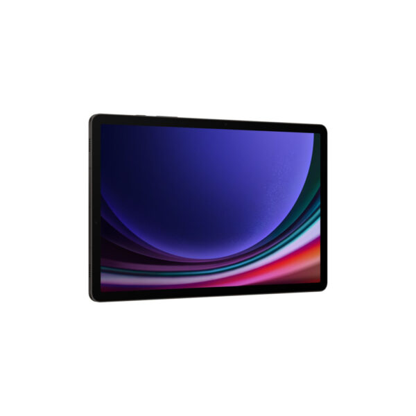 Планшет Samsung Galaxy Tab S9 WiFi 8GB/128GB Graphite (SM-X710NZAASEK)