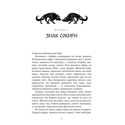 Книга Богатир. Книга 3: Царство у полум'ї - Юрай Червенак BookChef (9786175483299)