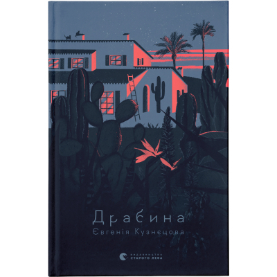 U0790339_big Книга Драбина - Євгенія Кузнєцова Видавництво Старого Лева (9789664480977)