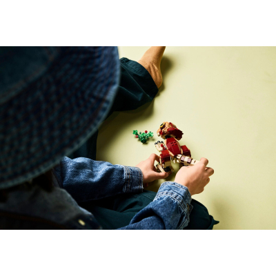 Конструктор LEGO Jurassic World Динозаврик Dolores: Аквілопс (76970)