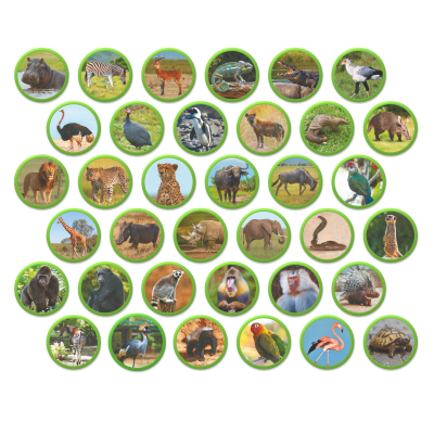 Навчальний набір DoDo Магнітний набір Монтесорі Тварини на континентах: Африка (200284)