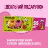 Цукерка Bob Snail Ягідно-фруктові в шоколаді 30 г х 5 шт (4820219347903)