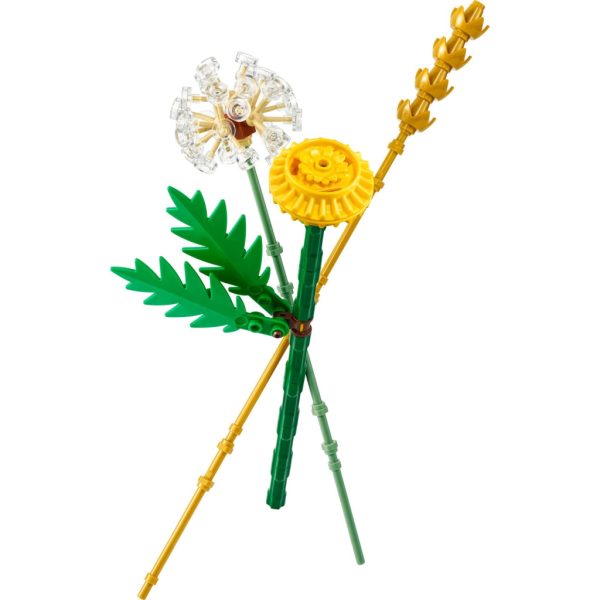 U1040614_2main Конструктор LEGO Botanicals Польові квіти (30701)