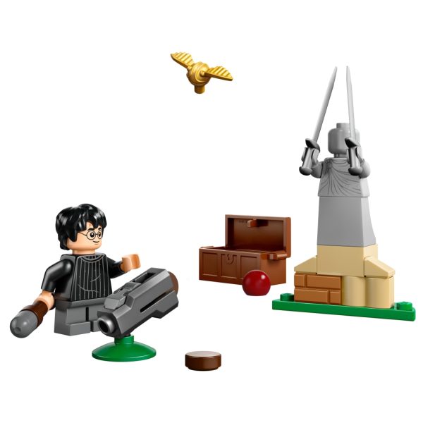 U1058055_2main Конструктор LEGO Harry Potter Урок з Квідичу (30706)