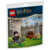 U1058055_main Конструктор LEGO Harry Potter Урок з Квідичу (30706)