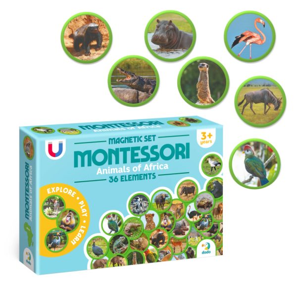 U1098386_2main Навчальний набір DoDo Магнітний набір Монтесорі Тварини на континентах: Африка (200284)