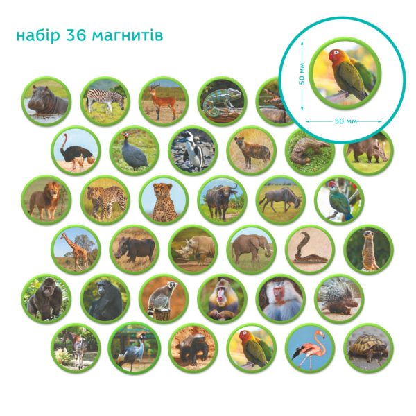 U1098386_4main Навчальний набір DoDo Магнітний набір Монтесорі Тварини на континентах: Африка (200284)