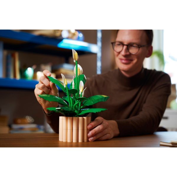 U1133747_10main Конструктор LEGO Botanicals Спатифілум (11504)
