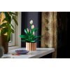 U1133747_12main Конструктор LEGO Botanicals Спатифілум (11504)