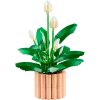U1133747_2main Конструктор LEGO Botanicals Спатифілум (11504)