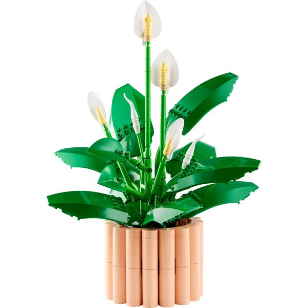 U1133747_2main Конструктор LEGO Botanicals Спатифілум (11504)