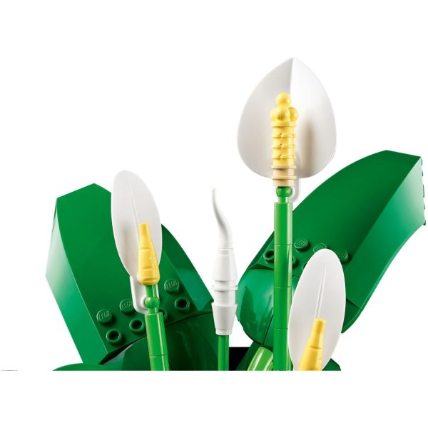 U1133747_3main Конструктор LEGO Botanicals Спатифілум (11504)