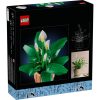 U1133747_7main Конструктор LEGO Botanicals Спатифілум (11504)