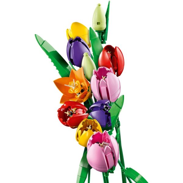 Конструктор LEGO Botanicals Букет тюльпанів (11501)