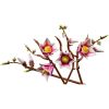 U1148358_3main Конструктор LEGO Botanicals Magnolia Branches (11510)