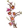 U1148358_5main Конструктор LEGO Botanicals Magnolia Branches (11510)
